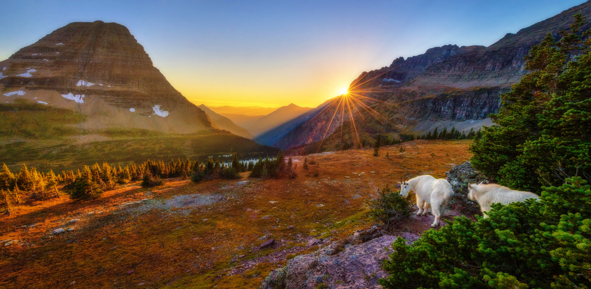 Glacier National Park: Master Hikes, Regions & Beat Traffic